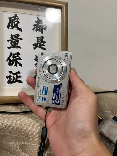 Sony cyber shot dsc - dsc-w560, 14,1