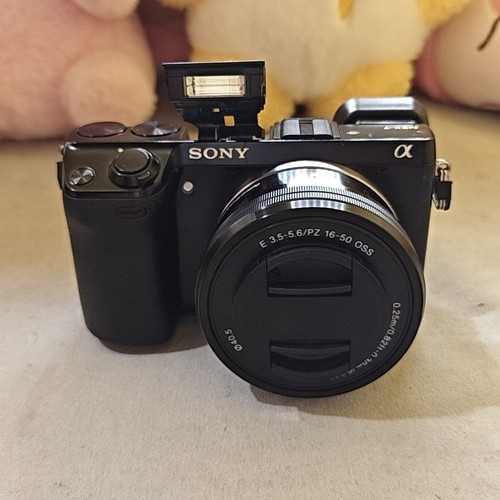 Sony alpha nex 24mp - sony, nex-7